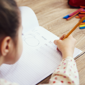 Programa de escritura